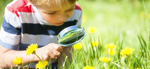 How Systematic Lead Scoring Helps You Win More Sales